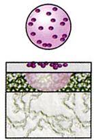 Pigment tinta - Encyclopedia - (fekete) Pigment tinta - Encyclopedia -