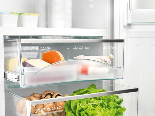 Penész a hűtőszekrényben, hogy mit és hogyan lehet megszabadulni
