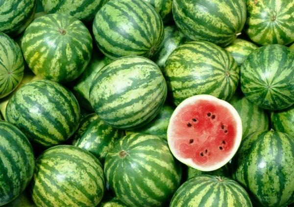 Miért kell enni a görögdinnye (miért) Miért kell enni görögdinnye