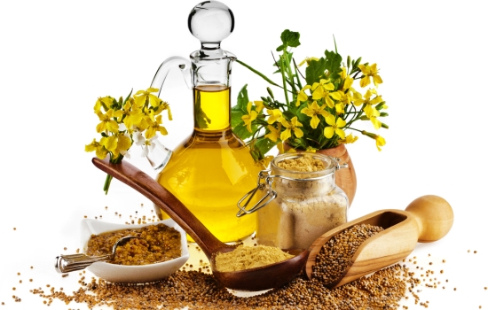 Hasznos tulajdonságai és ellenjavallatok a mustárolaj, orvosi