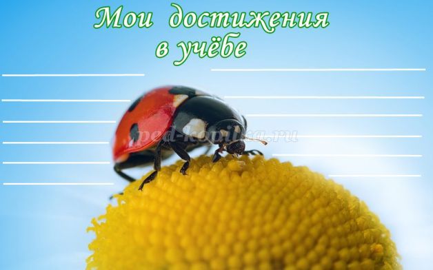 Portfolio tanuló középiskolás (lányok) (fiúk) (Portfolio) Portfolio tanuló középiskolás (lányok) (fiúk)