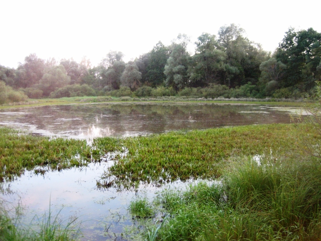 Ártéri tavak Zhizdra River