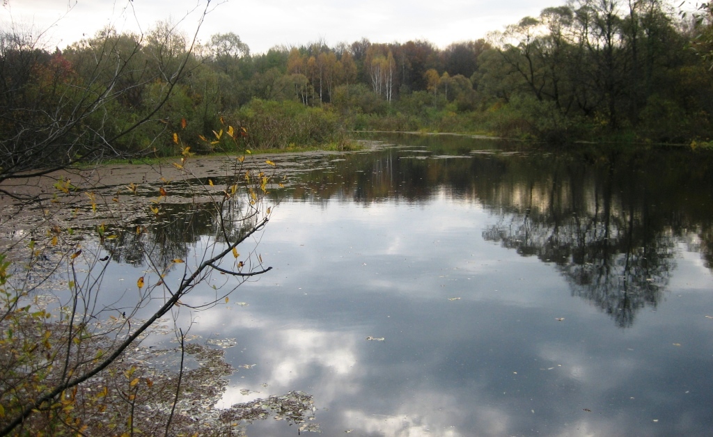 Ártéri tavak Zhizdra River