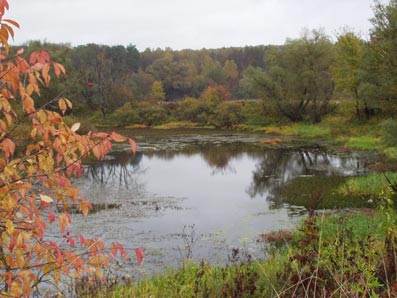 Ártéri tavak Zhizdra River