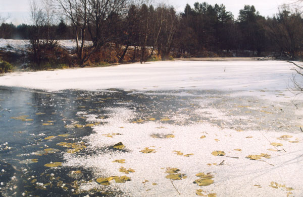 Ártéri tavak Zhizdra River