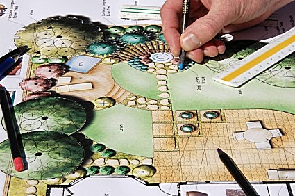 Megfelelő ültetés tavirózsa, növény a kertben (liliom) Megfelelő ültetés tavirózsa, növény a kertben