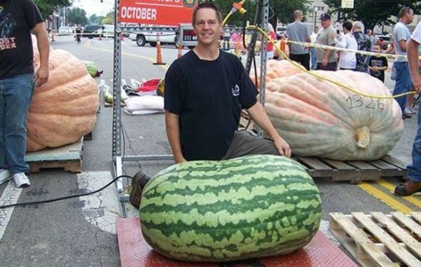 A legnagyobb görögdinnye a világon