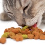 Vegyes élelmiszer macskáknak