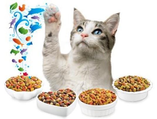 Vegyes élelmiszer macskáknak