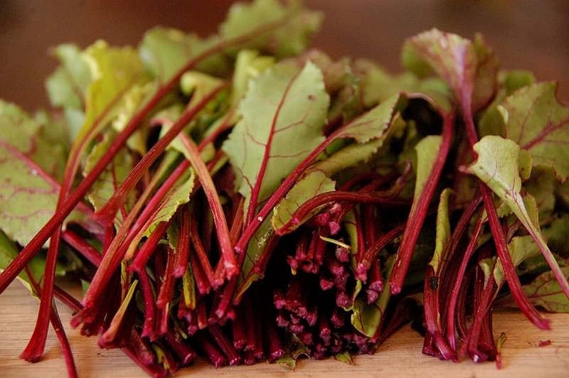 Répa juice hasznos tulajdonságok és ellenjavallatok, szabályokat a készítmény a levelek, gyökér zöldségek (főzés) Répa juice hasznos tulajdonságok és ellenjavallatok, szabályokat a készítmény a lombozat, gyökerek,