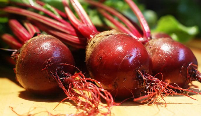 Répa juice hasznos tulajdonságok és ellenjavallatok, szabályok előkészítése a levelek, gyökérzöldségek (tulajdonságok) Répa juice hasznos tulajdonságok és ellenjavallatok, szabályokat a készítmény a lombozat, gyökerek,