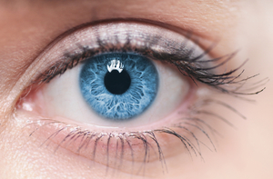 Egy cikket az anatómia az izmok a szemgolyó, a szem járulékos szervei működését és a szem betegségeinek