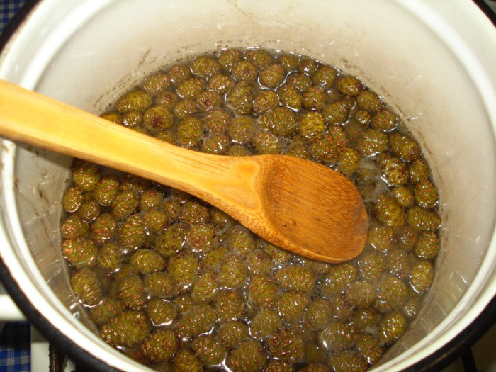 Lekvár fiatal fenyőtoboz - hogyan kell főzni elakadást kúpok, lépésről lépésre recept fotók (Jam fenyőtoboz) Lekvár fiatal fenyőtoboz - hogyan kell főzni elakadást kúpok, lépésről lépésre recept fotók