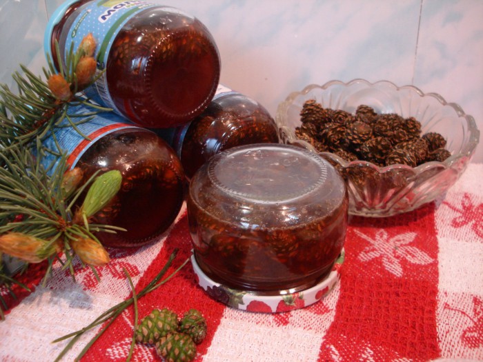 Lekvár fiatal fenyőtoboz - hogyan kell főzni elakadást kúpok, lépésről lépésre recept fotók (Jam fenyőtoboz) Lekvár fiatal fenyőtoboz - hogyan kell főzni elakadást kúpok, lépésről lépésre recept fotók