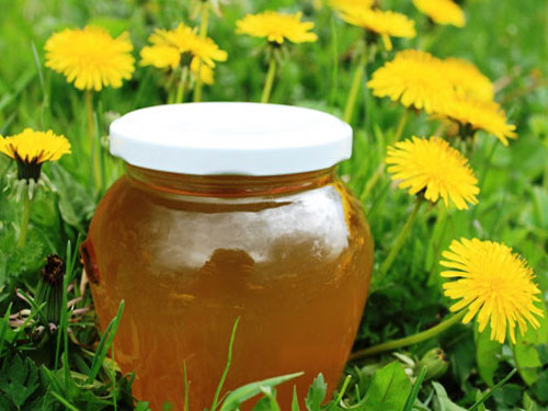 Jam pitypang előnyei és hátrányai (használat) Jam pitypang előnyei és hátrányai
