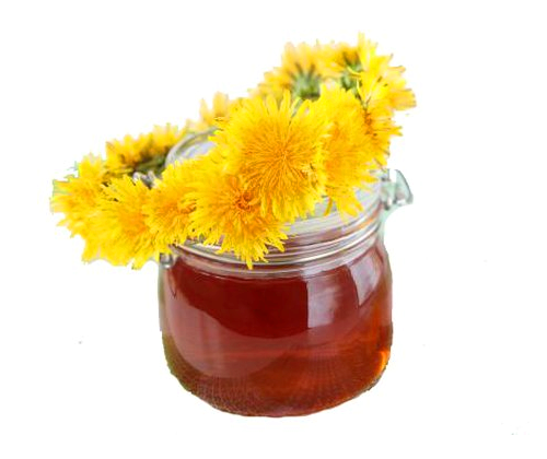 Jam pitypang előnyei és hátrányai (pitypang lekvár is lehetséges) Jam pitypang előnyei és hátrányai