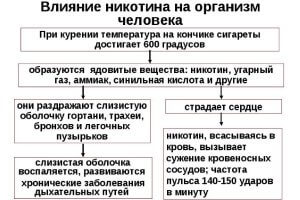 Függetlenül attól, hogy a test nikotin hozama (test) A hozamok e nikotin szervezetbe