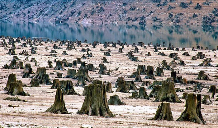 Az emberi tevékenység hatása a természetre 19 fényképek sokkoló ökológiai katasztrófa a Földön