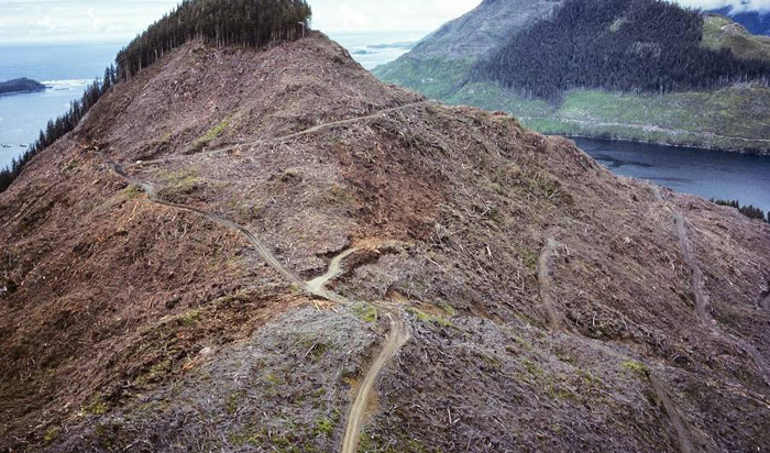 Az emberi tevékenység hatása a természetre 19 sokkoló képek ökológiai katasztrófa a Földön (Nature) Az emberi tevékenység hatása a természetre 19 fényképek sokkoló ökológiai katasztrófa a Földön