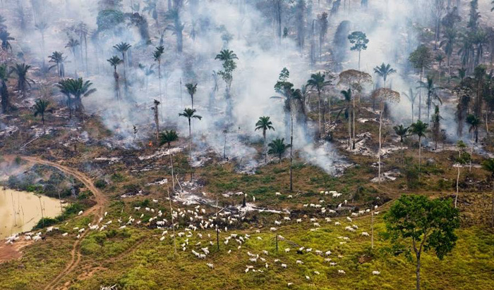 Az emberi tevékenység hatása a természetre 19 fényképek sokkoló ökológiai katasztrófa a Földön