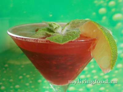 Felháborító frissítő alkoholmentes mojito és a forró salsa (műhelyek) (alkoholmentes) Felháborító frissítő alkoholmentes mojito és a forró salsa (műhelyek)