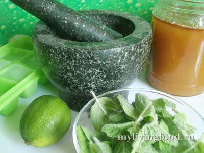 Felháborító frissítő alkoholmentes mojito és a forró salsa (műhelyek) (frissítő) Felháborító frissítő alkoholmentes mojito és a forró salsa (műhelyek)