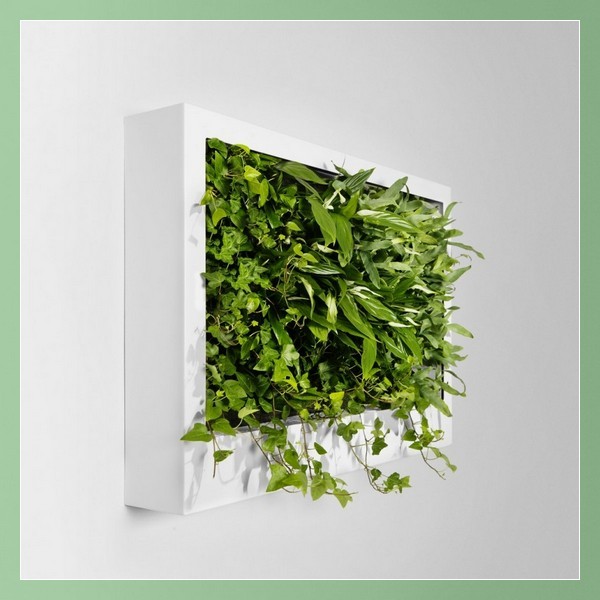Zöld fal a növények belsejében
