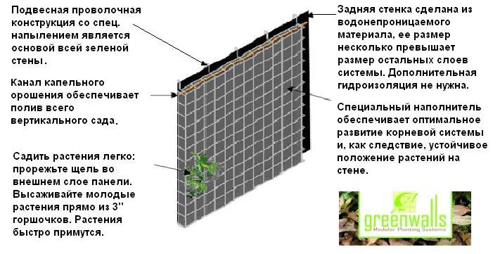 Zöld fal telepítés, öntözőrendszer, növények ültetése