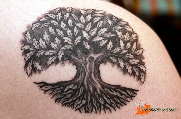 Jelentés tetoválás fa (49 fotó)