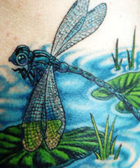 Jelentése tetoválás „Dragonfly”