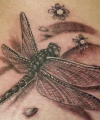 Jelentése tetoválás „Dragonfly”