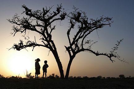 10 alapelvei a természetes fény, amikor fotózni, lesz fotós állvány (világítás) 10 fő elveit a természetes világítás, amikor a képek, lesz egy fotós, lesz