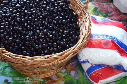9 Receptek főzés és dzsemek feketeribizli - Titkok kertészek