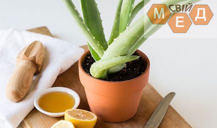 Aloe és méz gyógyító tulajdonságai és alkalmazásai (adjunk hozzá egy evőkanál) Aloe méz és terápiás tulajdonságai és alkalmazásai
