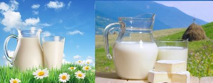 Betegségek, amelyek átjutnak a tejbe zaboleaniya átvihető a tej