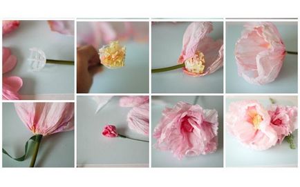 Nagy virágok krepp papír mester osztály saját kezűleg fotókkal