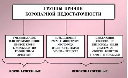 Mi a szív koszorúér-elégtelenség - tünetek és a kezelés az akut és krónikus formái