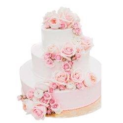 Mi lehet választani az esküvői torta vagy cupcakes (cupcakes) Mi lehet választani az esküvői torta vagy cupcakes