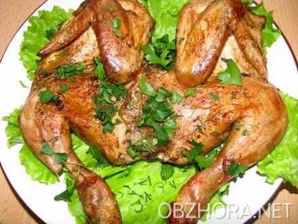 Csirke gyógynövények - főételek - receptek képekkel