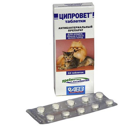 Tsiprovet kutya leírása, használati és alkalmazása, mind a kutya (kutyák) Tsiprovet kutya leírása, használati és alkalmazási minden a kutyákról