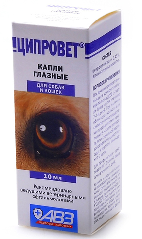 Tsiprovet kutya leírása, használati és alkalmazása, mind a kutyák (tsiprovet) Tsiprovet kutya leírása, használati és alkalmazási minden a kutyákról