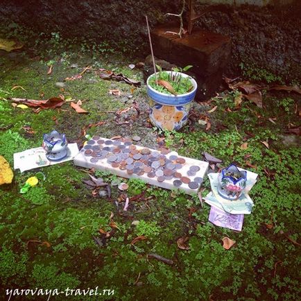 Látnivalók Samui Magic Garden Buddha utazó Irinoy Yarovoy