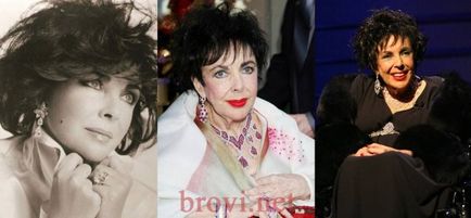 Elizabeth Taylor, a divat ikon (az ikon) Elizabeth Taylor, a stílus ikon