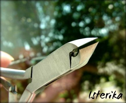 Tökéletes manikűr könnyű! Fogó kutikulnye PN-836-ab- (6 mm) -bj a Metzger alapján (manikűr) Tökéletes manikűr könnyű! Fogó kutikulnye PN-836-ab- (6 mm) -bj értékelés a Metzger