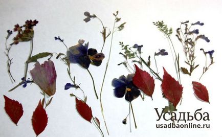 Belsőtéri gyertyák szárított virágok saját kezűleg, a kéz (kúria) (a kezüket) Belsőtéri gyertyák szárított virágok saját kezűleg, a kéz (tanya)