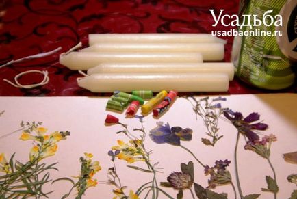 Belsőtéri gyertyák szárított virágok saját kezűleg, a kéz (kúria) (szárított virágok) Belsőtéri gyertyák szárított virágok saját kezűleg, a kéz (tanya)