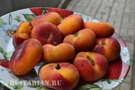 : Peach Őszibarack jön több fajta