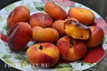 : Peach Őszibarack jön több fajta