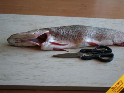 Hogyan dolgot, a csuka (lépésről lépésre recept fotókkal) (receptek saláta) Hogyan dolgot, a csuka (lépésről lépésre recept fotókkal)