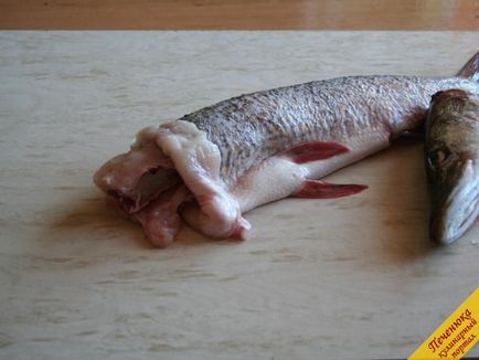 Hogyan dolgot, a csuka (lépésről lépésre recept fotókkal) (csuka) Hogyan dolgot, a csuka (lépésről lépésre recept fotókkal)